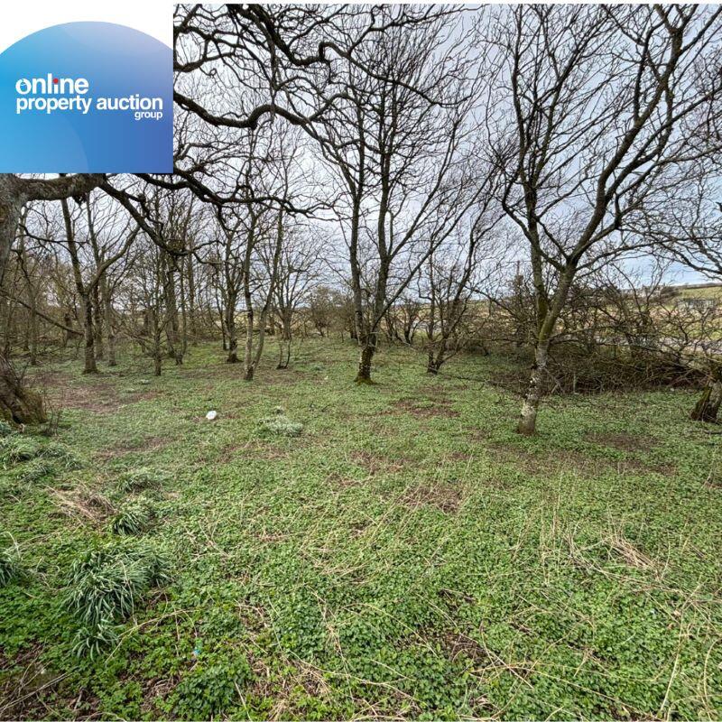 Additional image 10 of Tyrie Church Woodland, Fraserburgh, AB43 6SQ