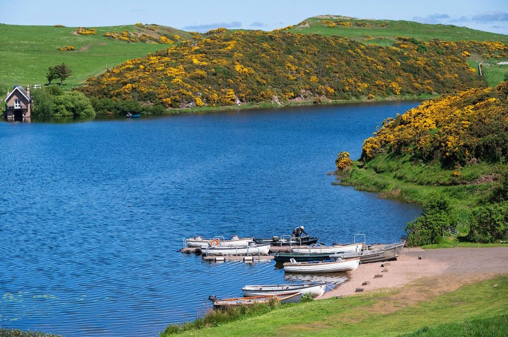 Additional image 39 of 3 bed detached house for saleEyemouth Road, Coldingham, Eyemouth TD14