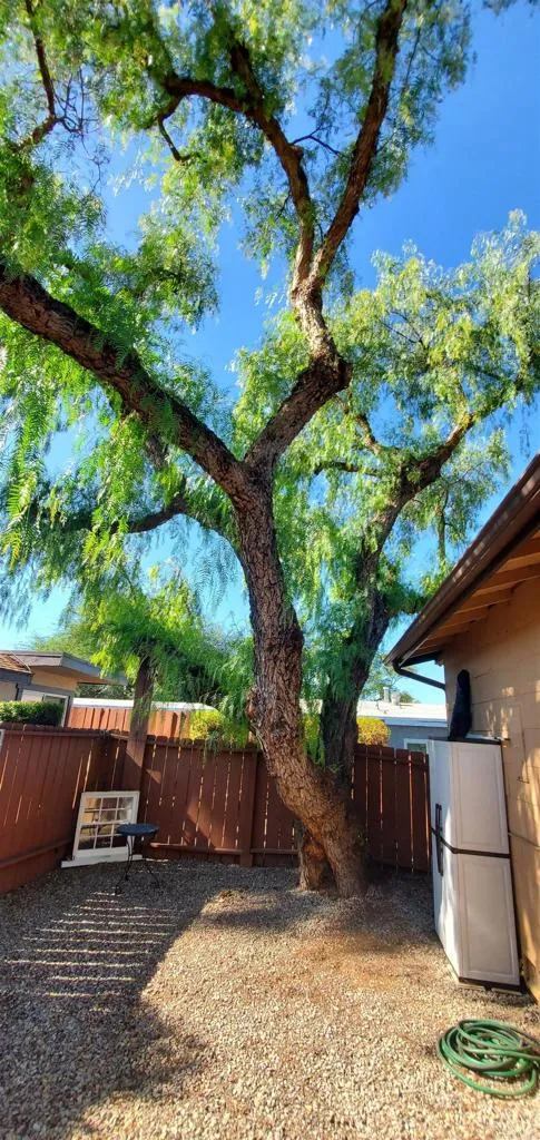 Additional image 47 of 6841 Mohawk Street, San Diego, CA 92115