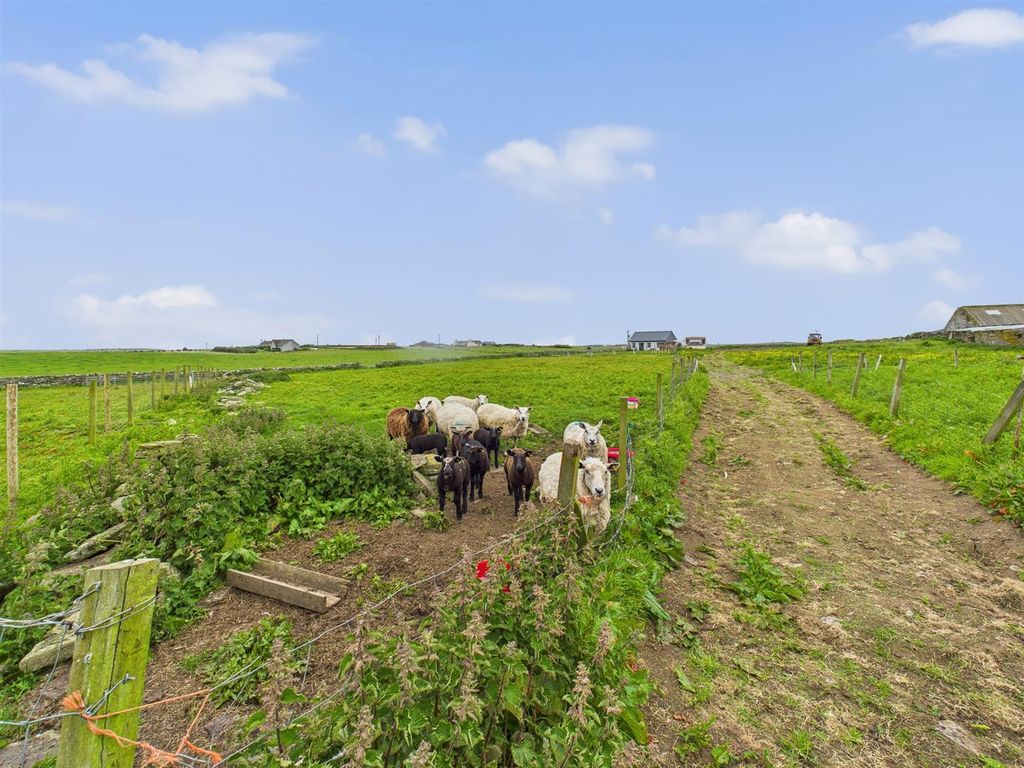 Additional image 16 of 1 bed detached house for saleNew Dawn, Airon Road, Sanday, Orkney KW17
