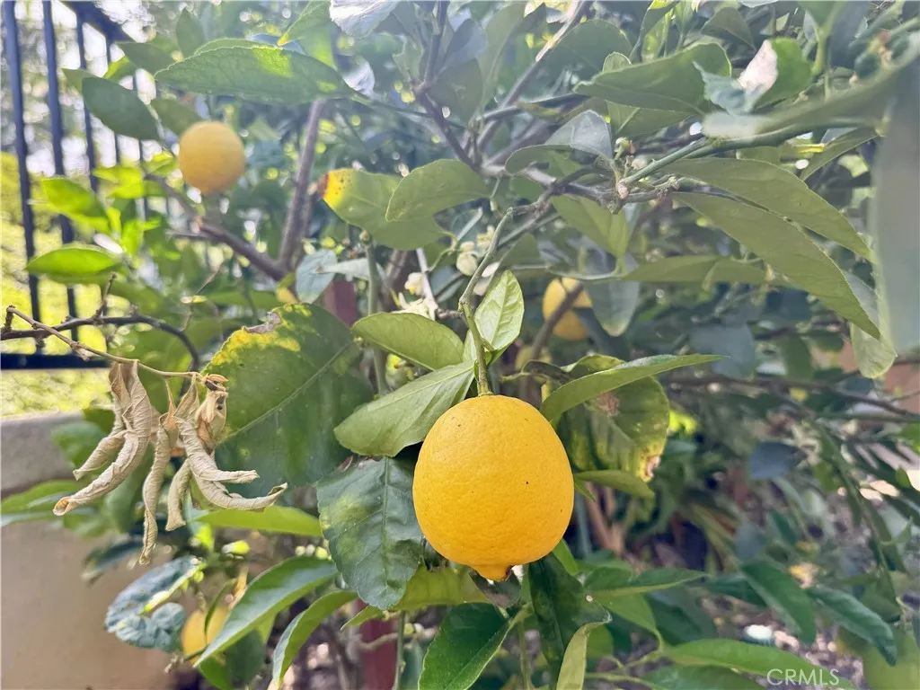 Additional image 93 of 14 Cala D Or, Laguna Niguel, CA 92677