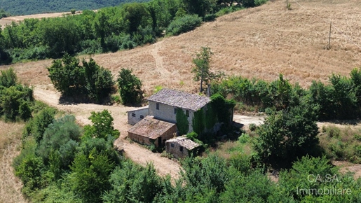Additional image 16 of Todi (Perugia)