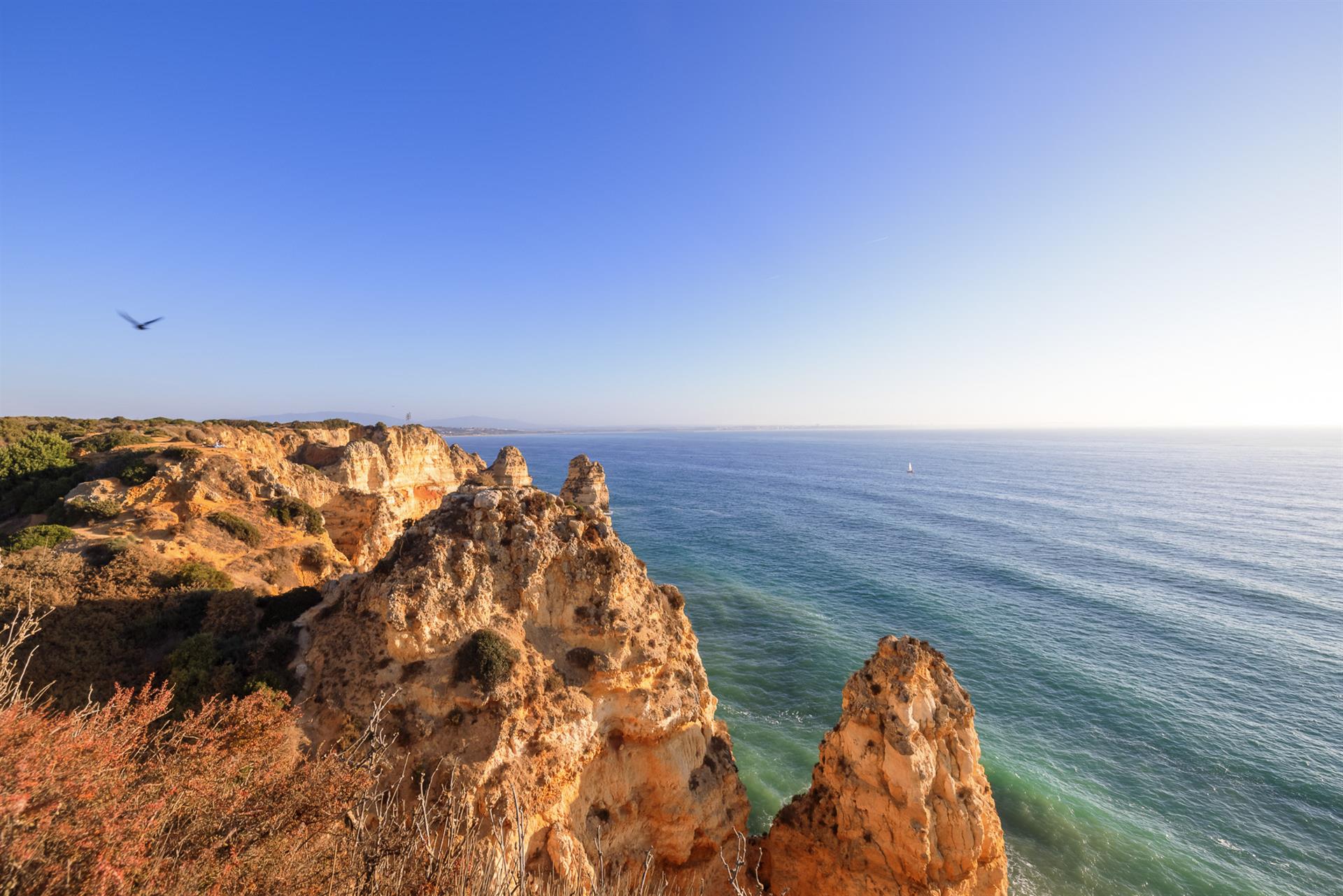 Additional image 12 of Odiáxere (Lagos)