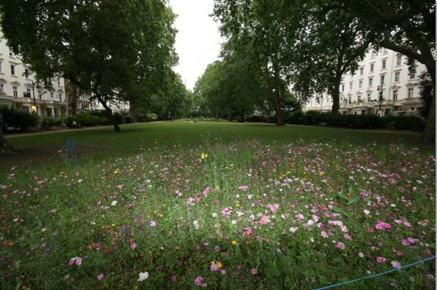 Additional image 9 of 1 Bed Flat, Cambridge Street, SW1V, N1 7GU