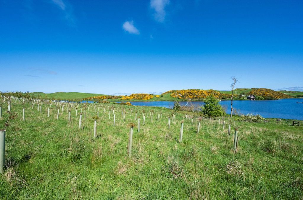 Additional image 54 of 3 bed detached house for saleEyemouth Road, Coldingham, Eyemouth TD14