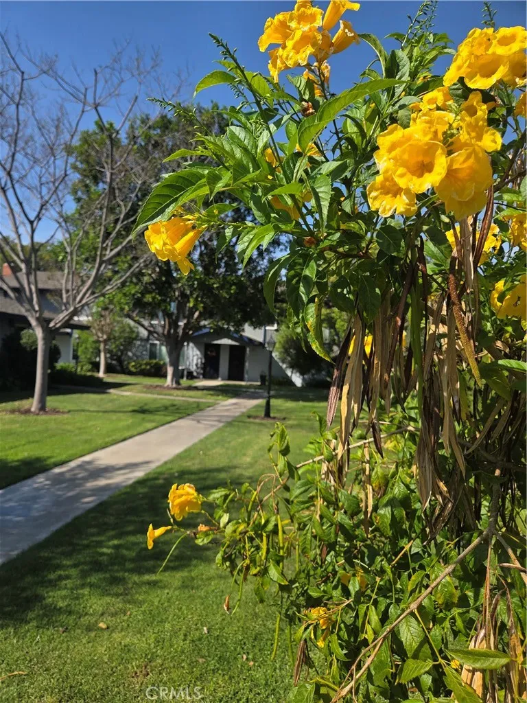 Additional image 64 of 1107 W Memory Lane Unit 6C, Santa Ana, CA 92706