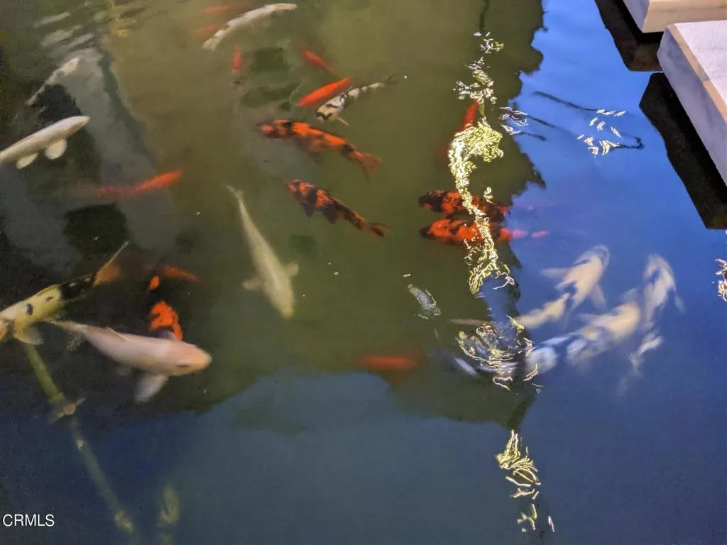 Additional image 62 of 28 N 3rd Street Unit B214, Alhambra, CA 91801