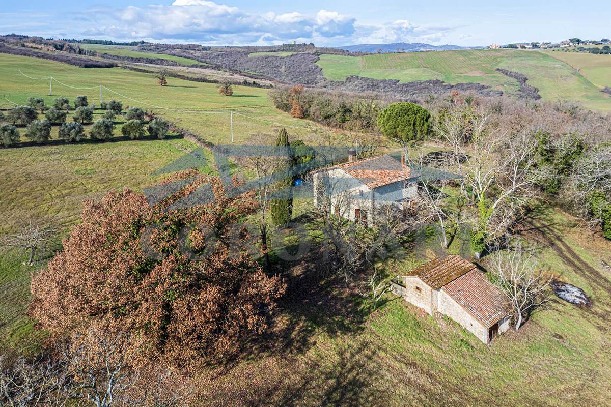 Additional image 7 of Todi (Perugia)