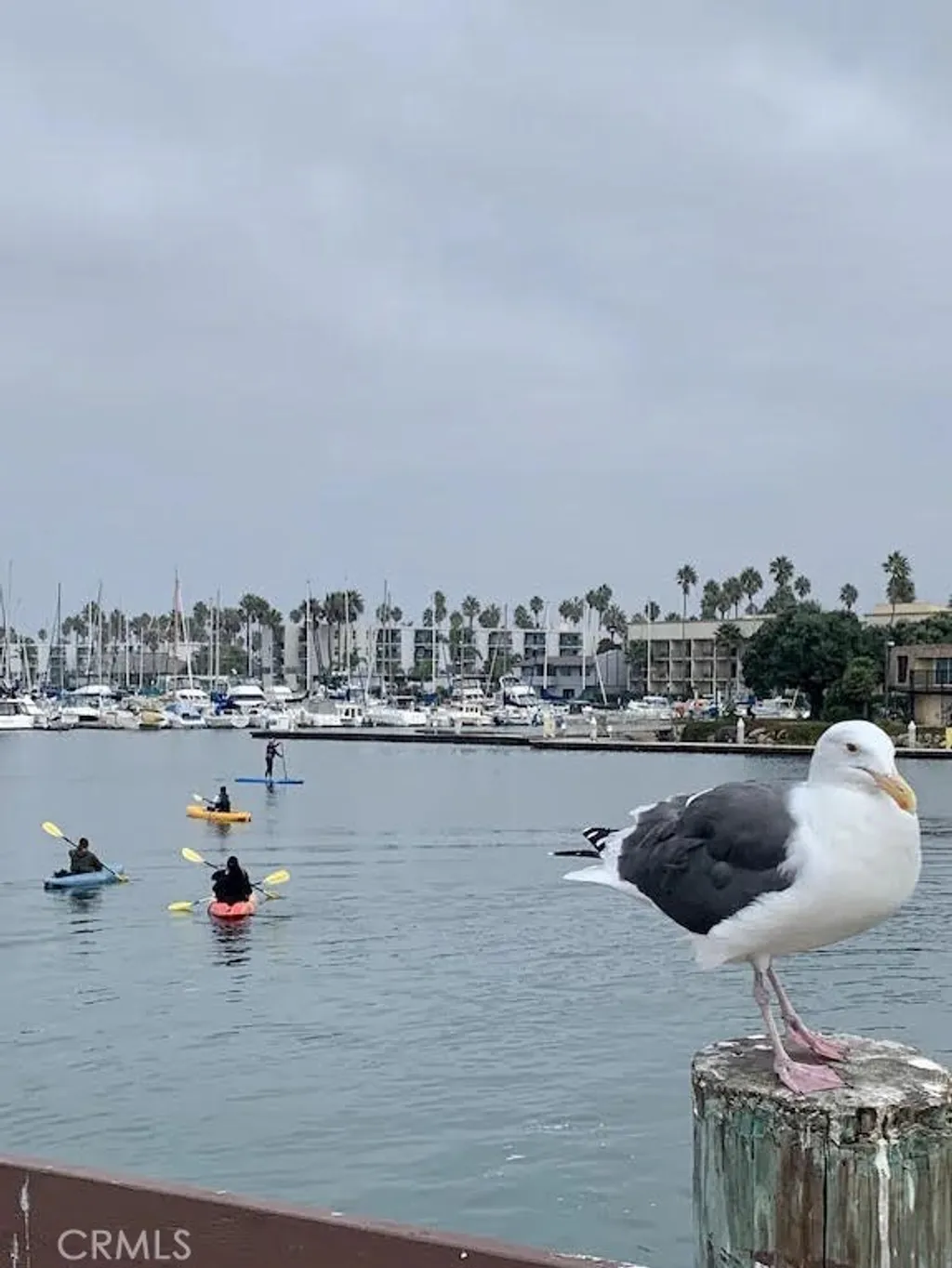 Additional image 58 of 116 W Channel Islands Boulevard, Oxnard, CA 93035