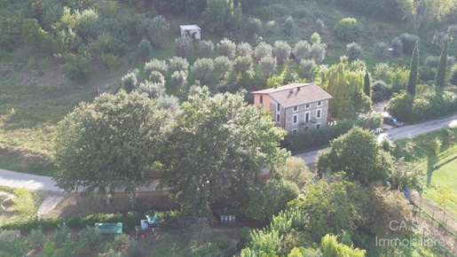 Additional image 10 of Monte Castello di Vibio (Perugia)
