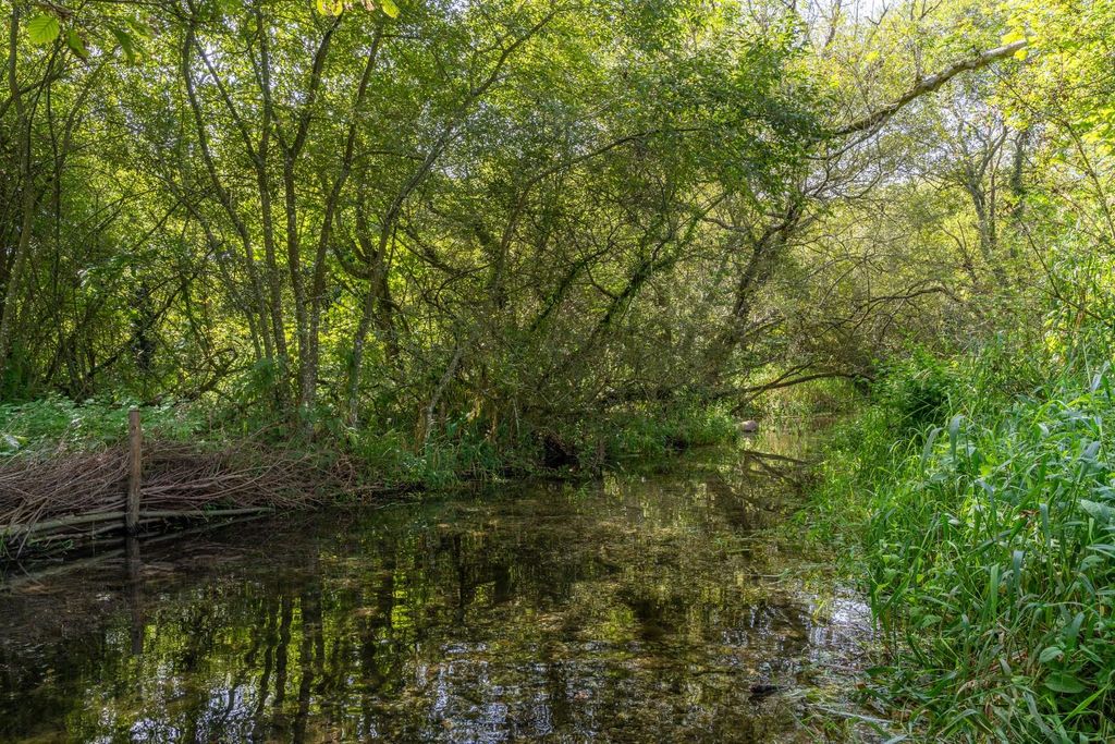 Additional image 30 of 10 bed detached house for saleHunton Down Lane, Winchester SO21