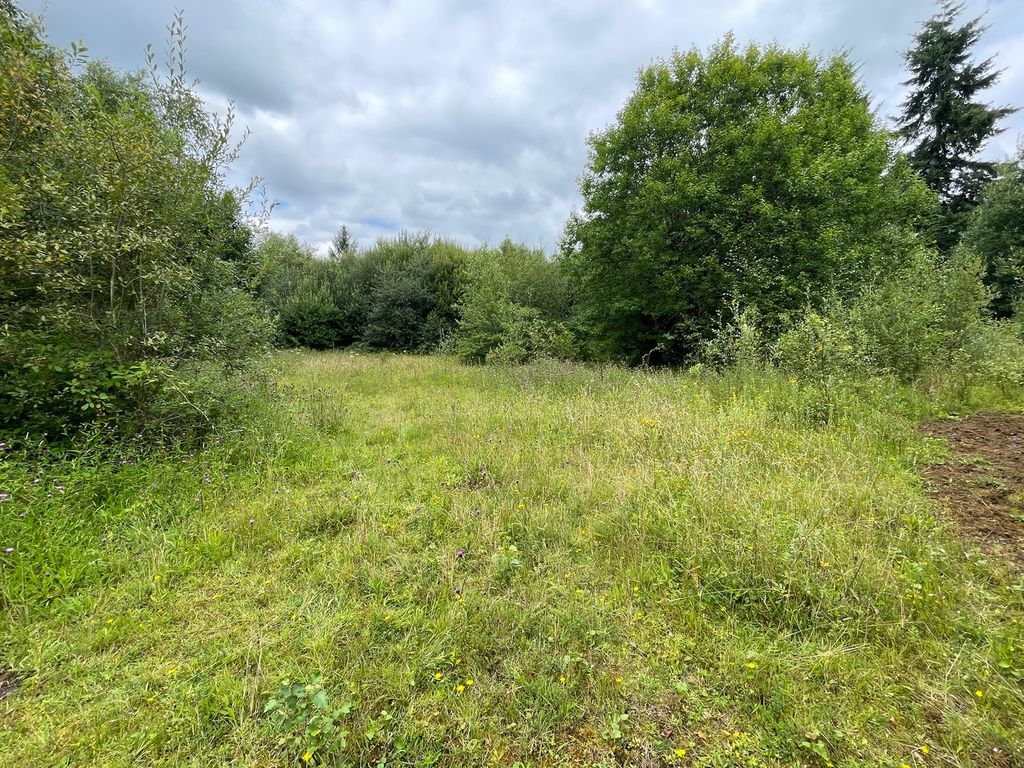 Additional image 10 of 3 bed farm for saleHalt Road, Rhigos, Aberdare CF44