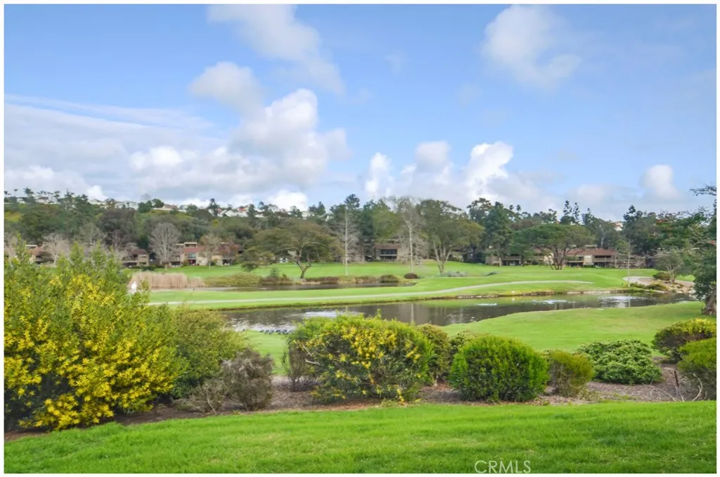 Additional image 50 of 31402 W Nine Dr, Laguna Niguel, CA 92677