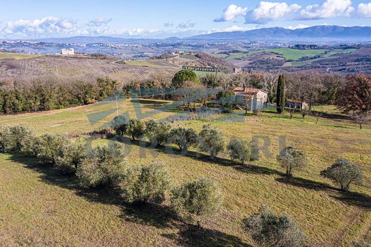 Additional image 10 of Todi (Perugia)