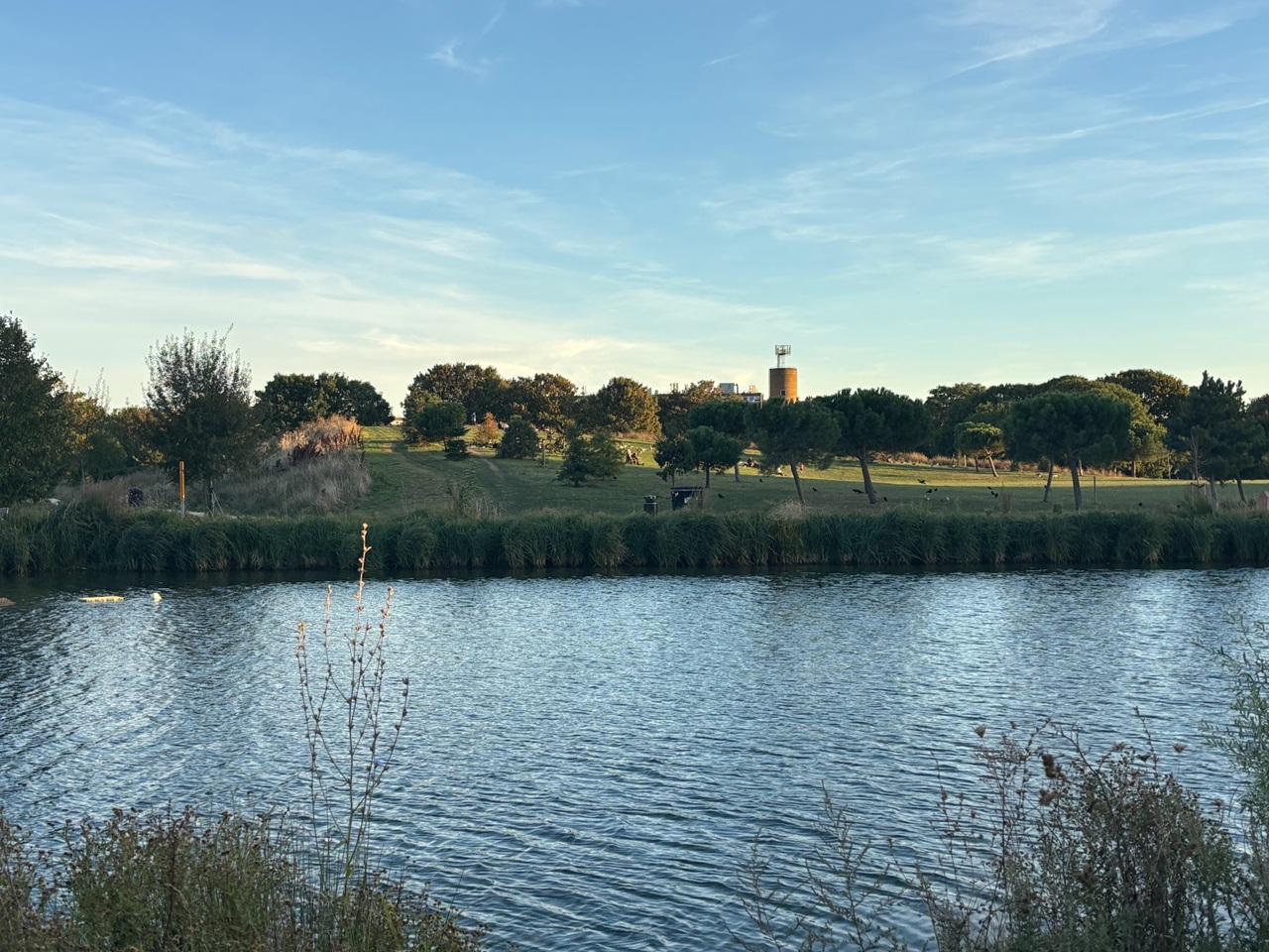 Additional image 7 of Room in a Shared Flat, John Ruskin Street, SE5, N1 7GU