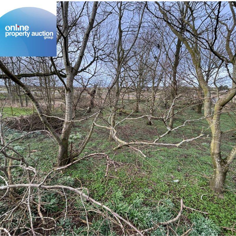 Additional image 6 of Tyrie Church Woodland, Fraserburgh, AB43 6SQ