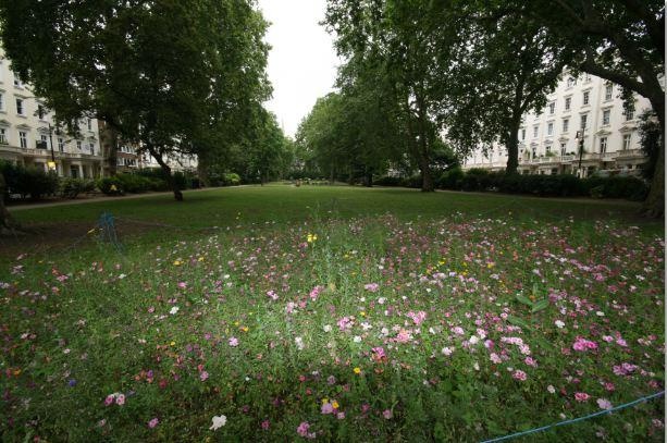 Additional image 27 of Studio Flat, London, SW1V, N1 7GU