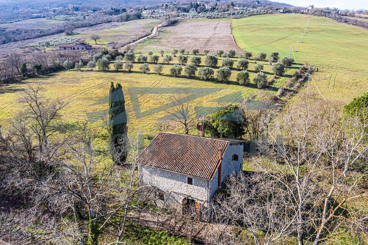 Additional image 6 of Todi (Perugia)