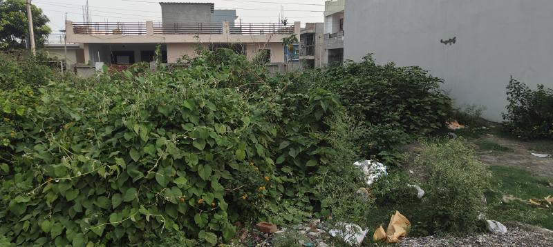 Additional image 3 of Sahastradhara Road, Dehradun