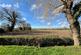 Additional image 9 of Norlington Lane, Ringmer, Lewes, East Sussex, BN8