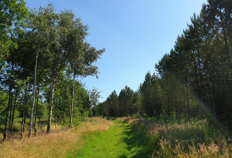Additional image 7 of Land for saleBattram Road, Ellistown, Coalville, Leicestershire LE67