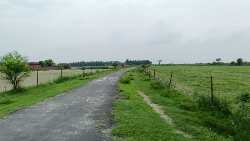 Additional image 2 of Bankner, Delhi