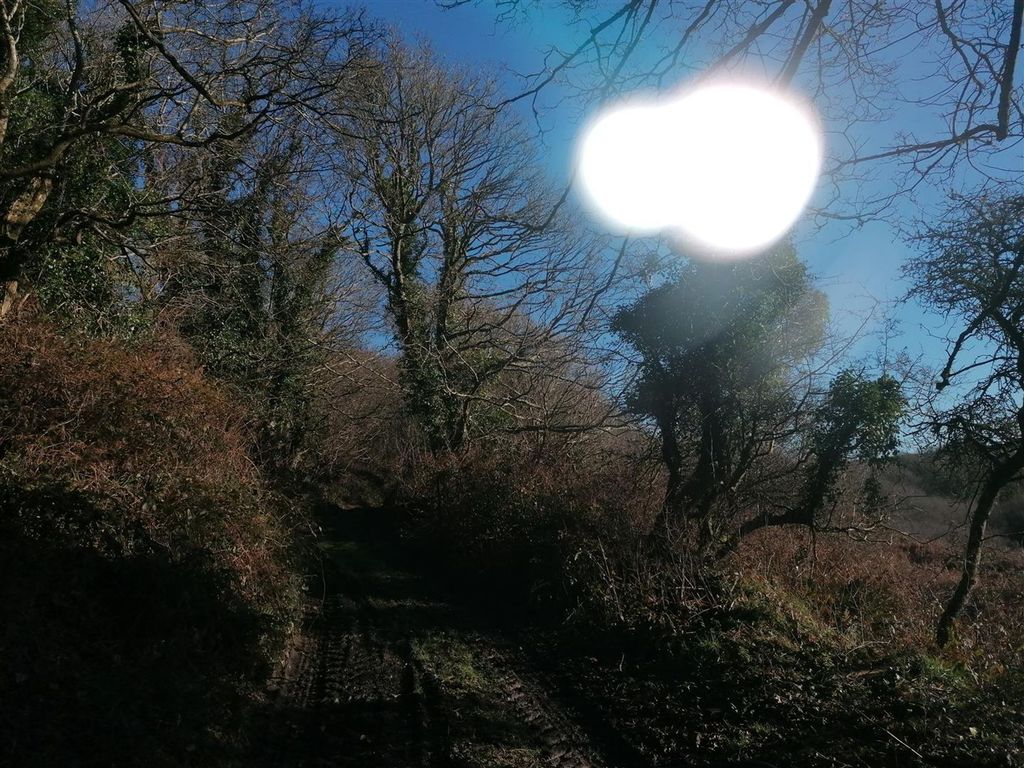 Additional image 65 of 6 bed farm for saleNolton Haven, Haverfordwest SA62