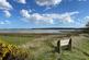Additional image 23 of Bulcamp Drift, Nr Southwold, Suffolk