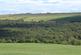Riding Copse, Stocksfield NE42
