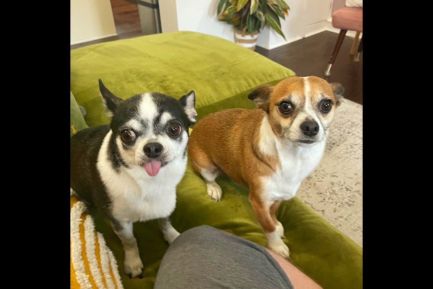 Additional image 9 of Room in a Shared Flat, Dalemain House, SW8, N1 7GU