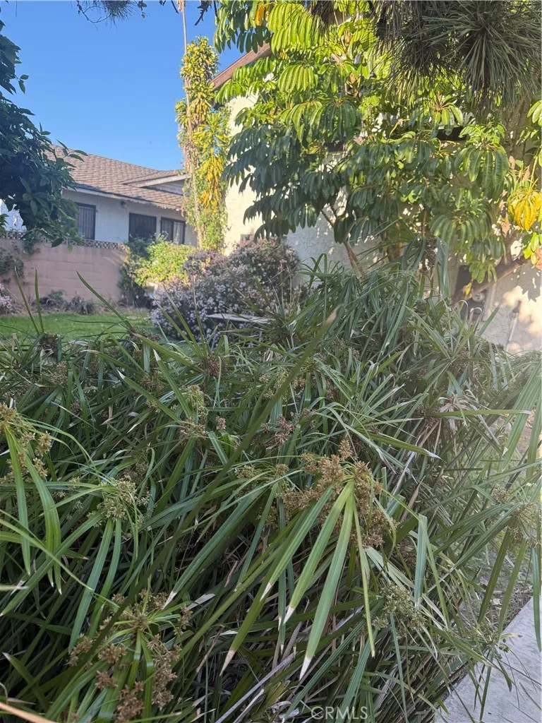 Additional image 19 of 10831 Pine St, Los Alamitos, CA 90720