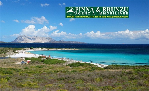 Additional image 12 of San Teodoro (Olbia-Tempio)