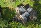 Additional image 50 of Low Grange, High Horse Close Wood, Rowlands Gill