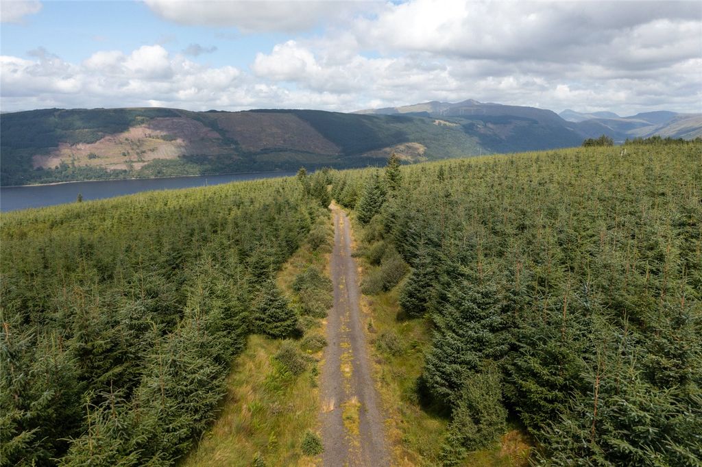 Additional image 4 of Land for saleSt. Catherines Forest, Cairndow, Cowal Peninsula, Argyll & Bute PA25