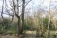 Additional image 7 of Great Wood, Stocksfield, Northumberland. NE42