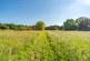 Additional image 32 of Willow Lane, Cotton, Stowmarket, Suffolk, IP14