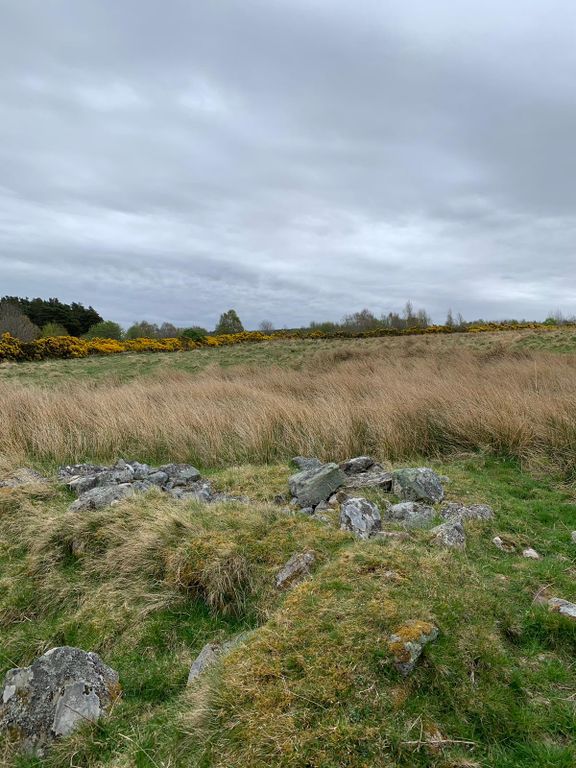 Land for saleDallas IV36 photo 4