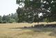 Additional image 19 of Plot 10, The Thorne at The Paddocks, Main Street, Vale of Belvoir LE14