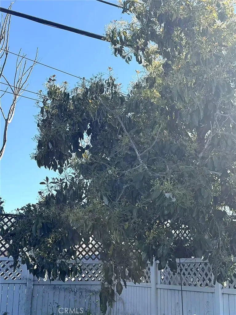 Additional image 24 of 8717 Tilmont Ave, Pico Rivera, CA 90660