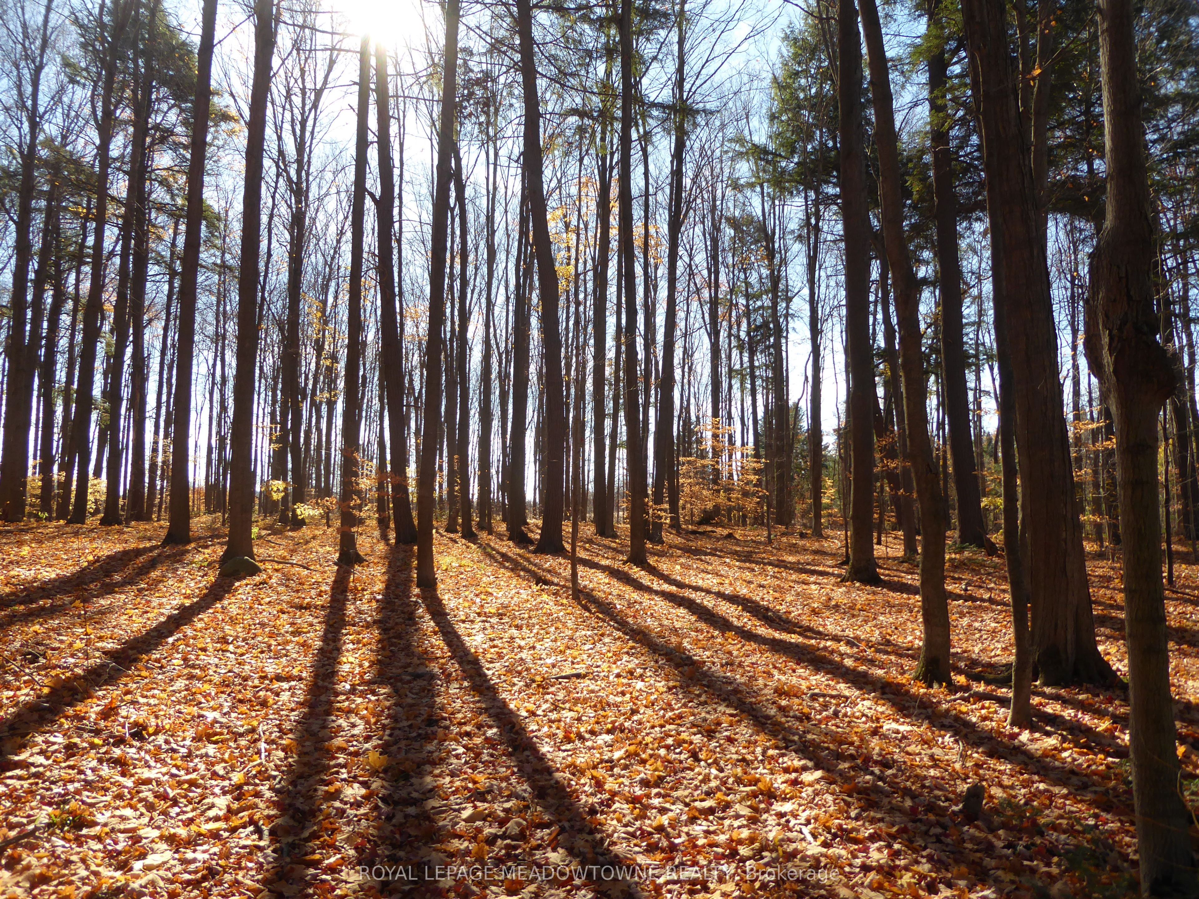 Additional image 2 of 8949 Wellington Rd 22 Road, Erin, ON, N0B 1Z0