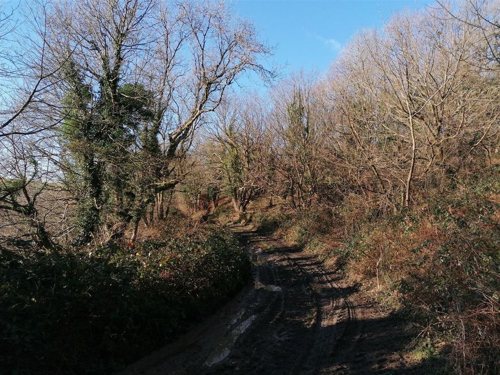 Additional image 70 of 6 bed farm for saleNolton Haven, Haverfordwest SA62