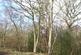 Additional image 8 of Great Wood, Stocksfield, Northumberland. NE42