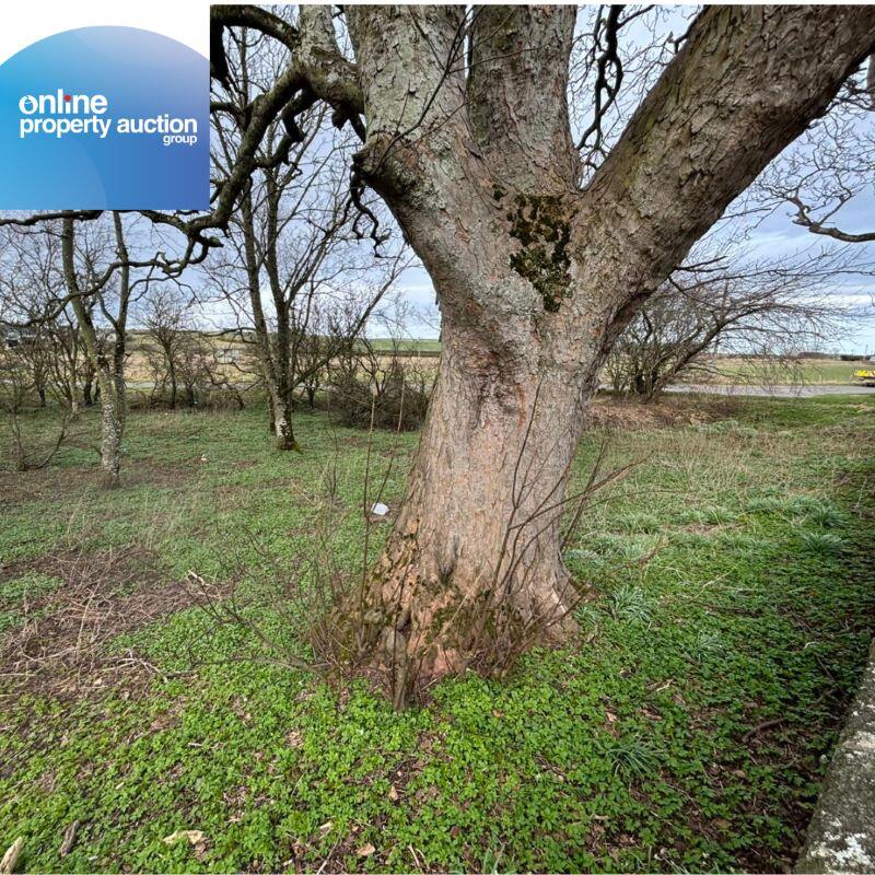 Additional image 7 of Tyrie Church Woodland, Fraserburgh, AB43 6SQ