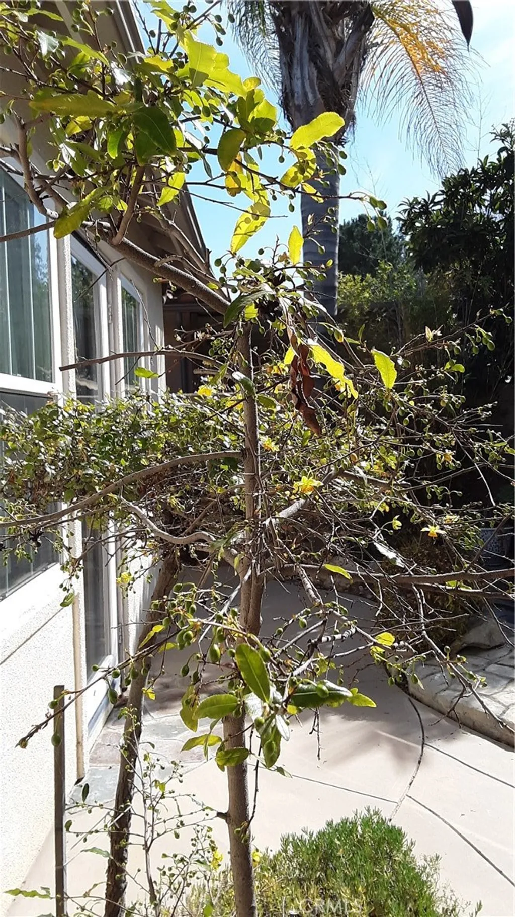 Additional image 26 of 4443 Cherry Grove, Riverside, CA 92501