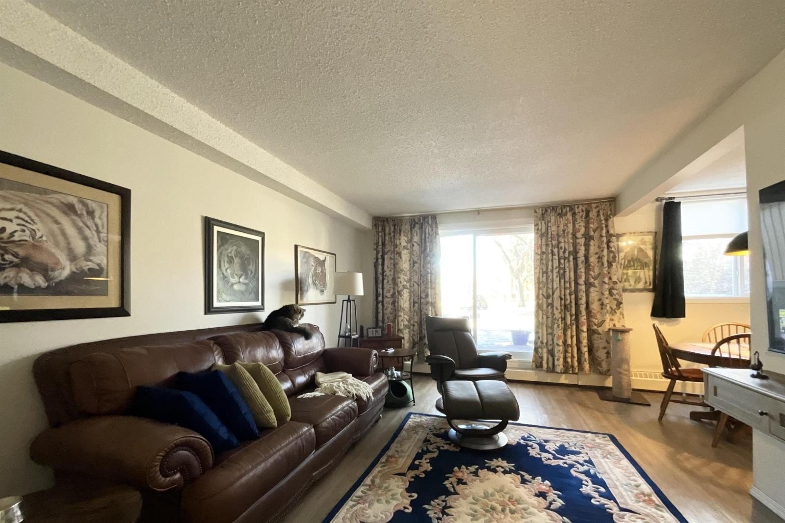 Additional image 8 of 101-11019 107 Street NW, Edmonton, AB, T5H2Z6