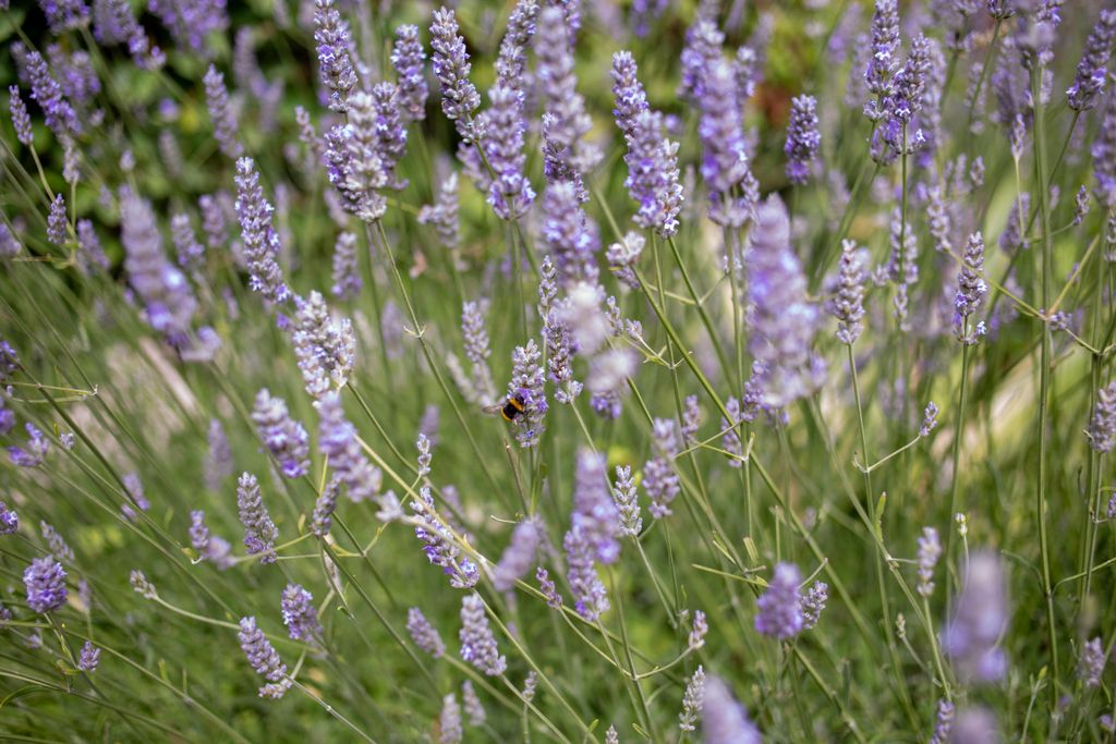 Additional image 5 of Land for saleFlorence Road, Brighton BN1