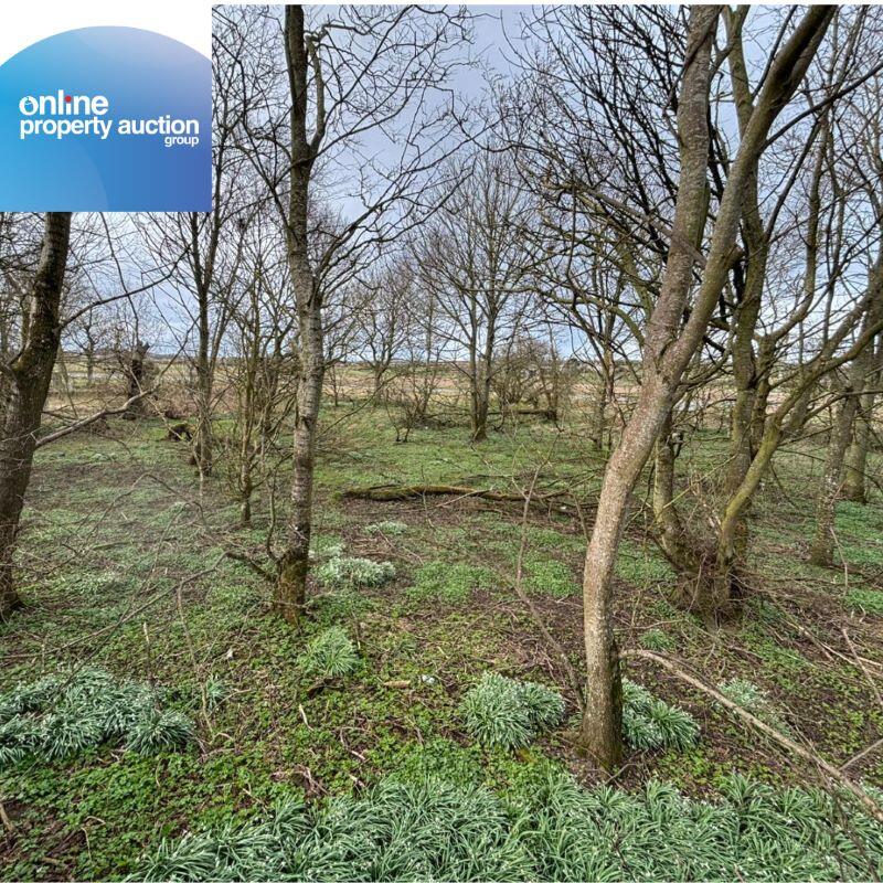 Additional image 12 of Tyrie Church Woodland, Fraserburgh, AB43 6SQ