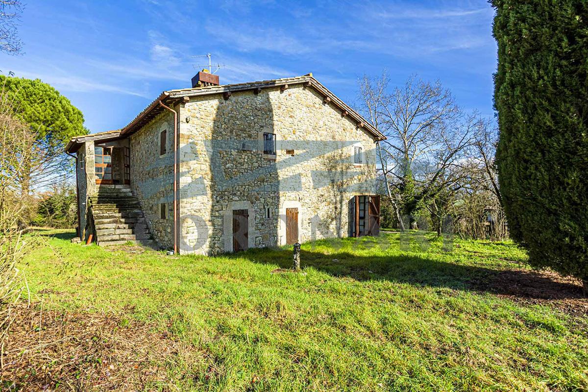 Additional image 16 of Todi (Perugia)