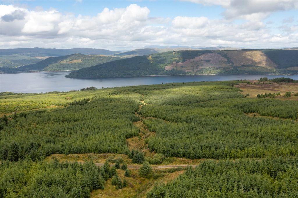 Land for saleSt. Catherines Forest, Cairndow, Cowal Peninsula, Argyll & Bute PA25