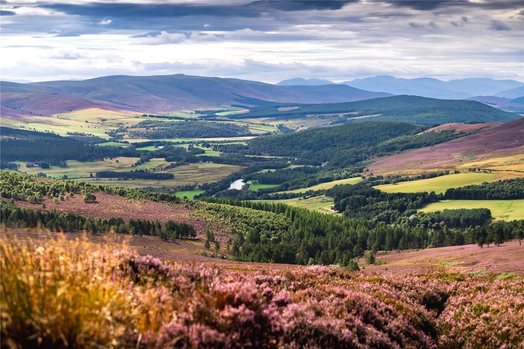Land for saleTulchan Estate, Grantown-On-Spey, Moray PH26